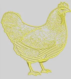 Band Logo Digitizing